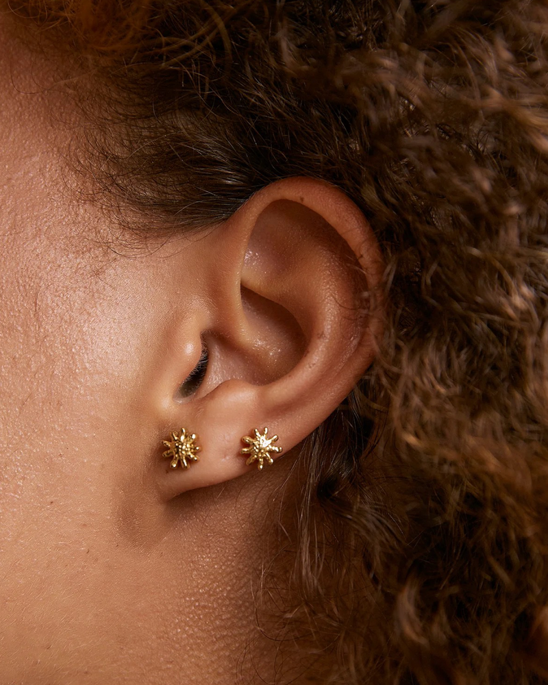 Magnolia Studs Gold